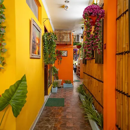 Urban Haven Sanur