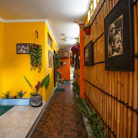 Urban Haven Sanur